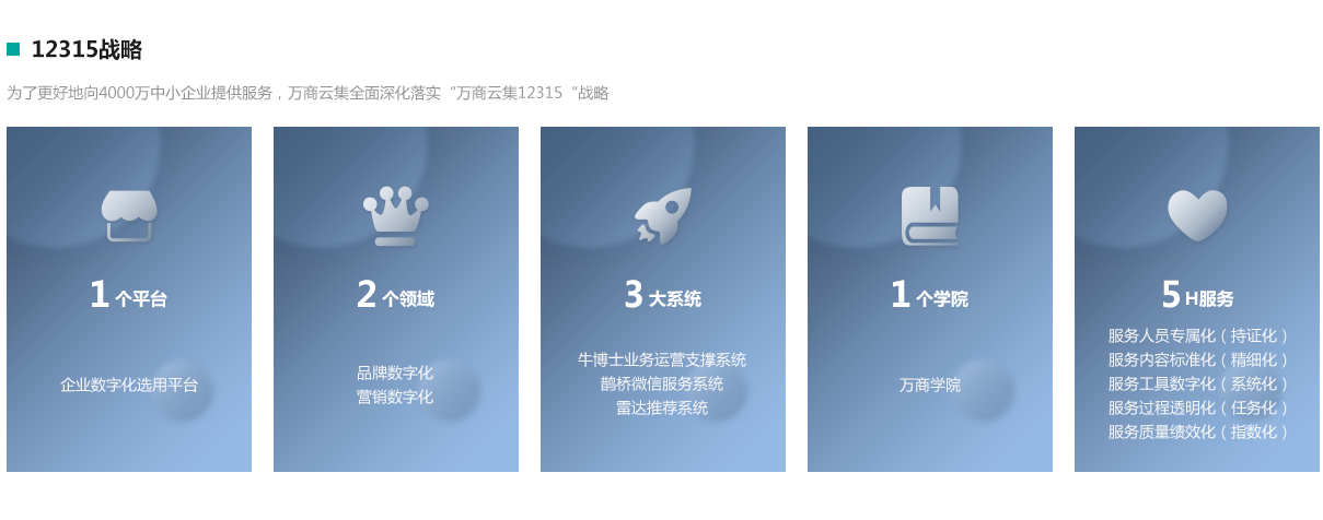 12315战略